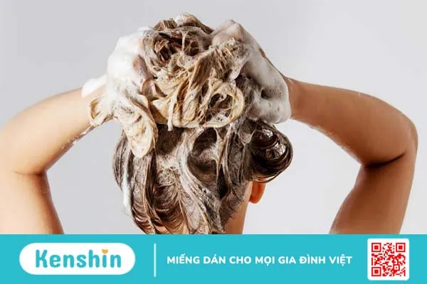 Cách gội đầu đúng cách để tránh tình trạng rụng tóc