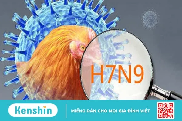 Cách phòng ngừa bệnh cúm A (H7N9)