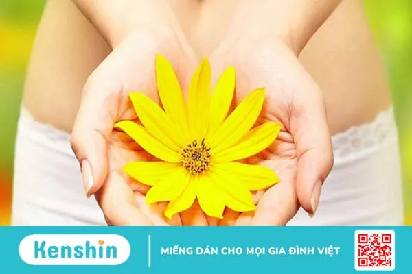 Cách phòng tránh bệnh phụ khoa hiệu quả bạn gái nên biết