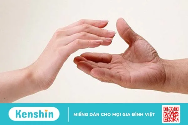 Cấu tạo bàn tay và chức năng của bàn tay