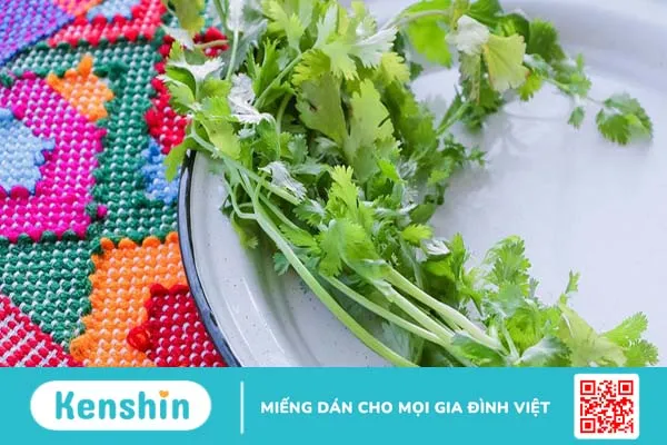 Cây mùi già có tác dụng gì? Vì sao phải tắm mùi già vào 30 Tết?