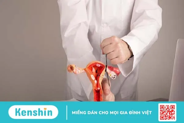 Chi phí triệt sản nữ hiện nay là bao nhiêu? Các phương pháp triệt sản nữ