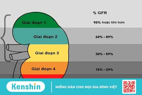 Chỉ số eGFR thấp dưới 60 cảnh báo điều gì?