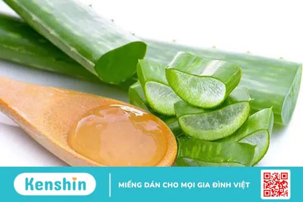 Chi tiết cách trị rạn da sau sinh bằng nha đam