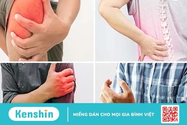 Đau cơ xơ hóa: Triệu chứng, nguyên nhân và cách chữa trị