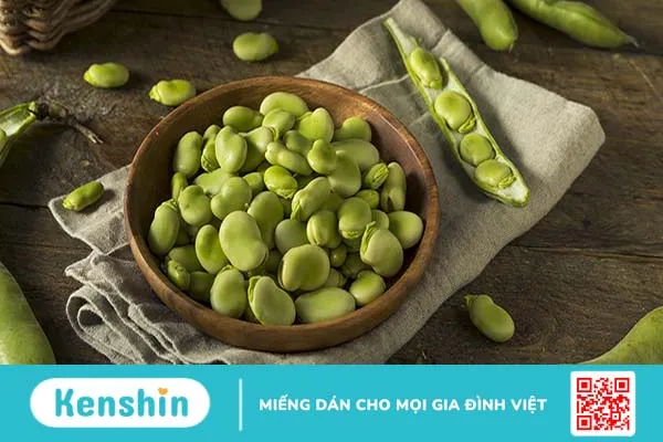 Đậu răng ngựa (Faba Bean): Thực phẩm bổ dưỡng và đa năng