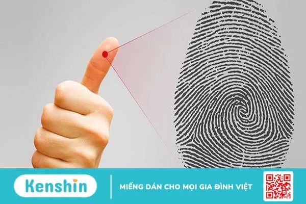 Dấu vân tay DNA là gì? Kiểm tra vân tay DNA như thế nào?