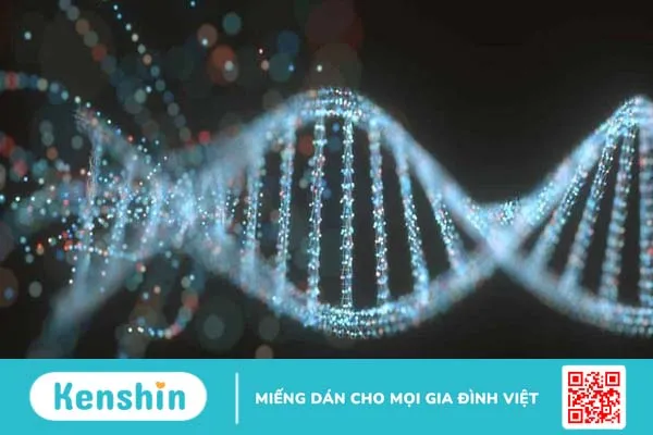 DNA không mã hóa là gì? Sự thay đổi trong DNA không mã hóa có ảnh hưởng đến sức khỏe không?