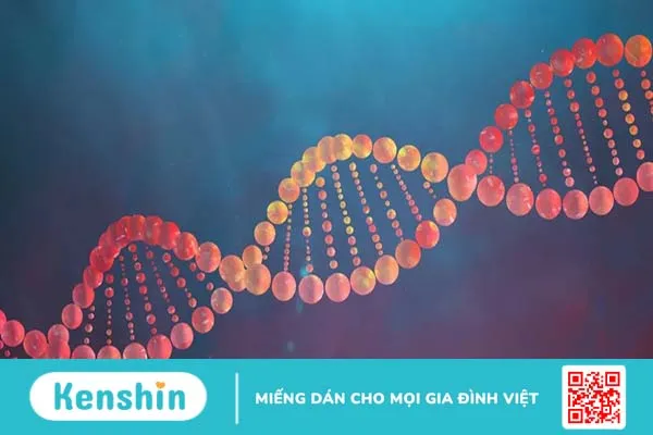 DNA là gì và có vai trò như thế nào?