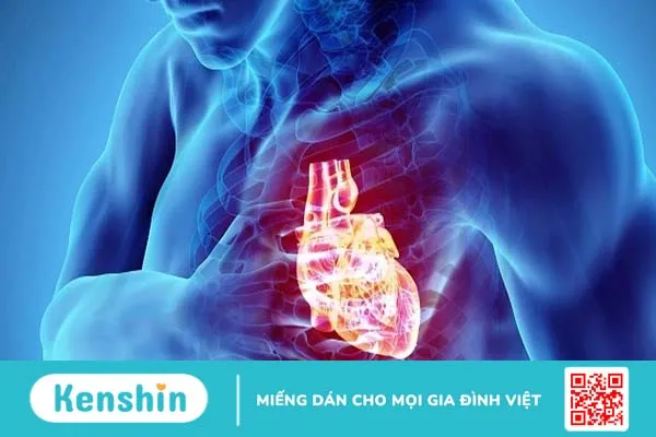 Đột tử do tim: Nguyên nhân và triệu chứng gây ra bệnh