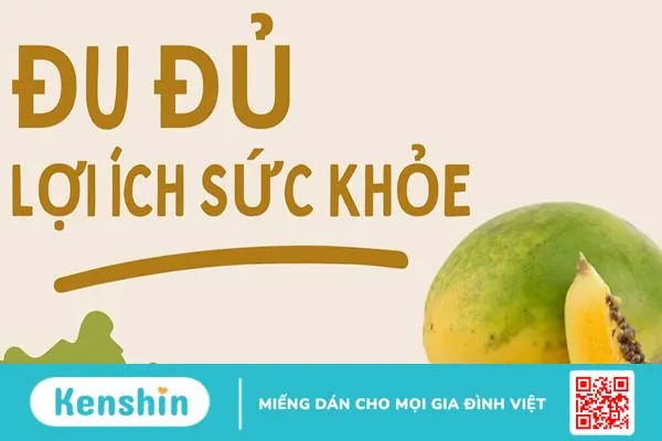 Đu đủ và những lợi ích đối với cơ thể không phải ai cũng biết