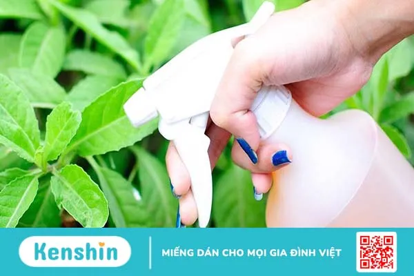 Emamectin Benzoate là gì? Ngộ độc Emamectin Benzoate có triệu chứng gì?