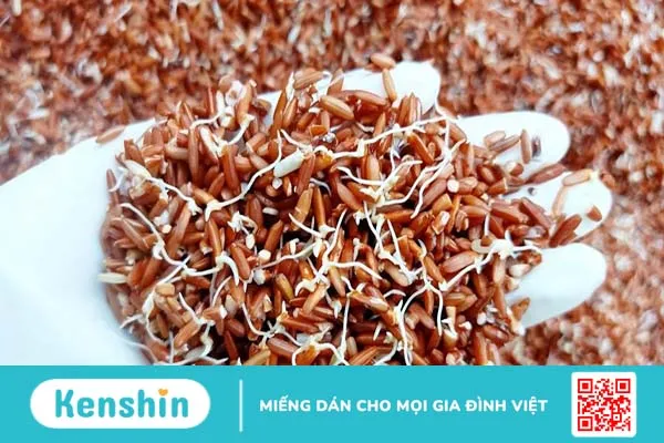 Gạo lứt nảy mầm có tác dụng gì?