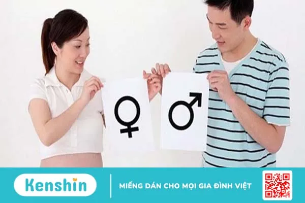 Giới tính thai nhi được hình thành ở thời điểm nào? Cách xác định giới tính thai nhi