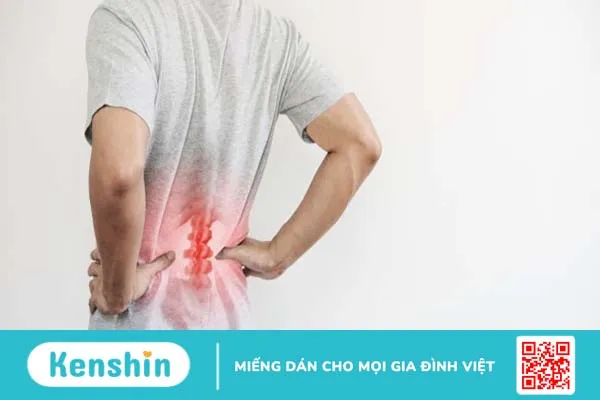 Hoạt chất HAS-II giúp cải thiện cơn đau của bệnh nhân thoát vị đĩa đệm