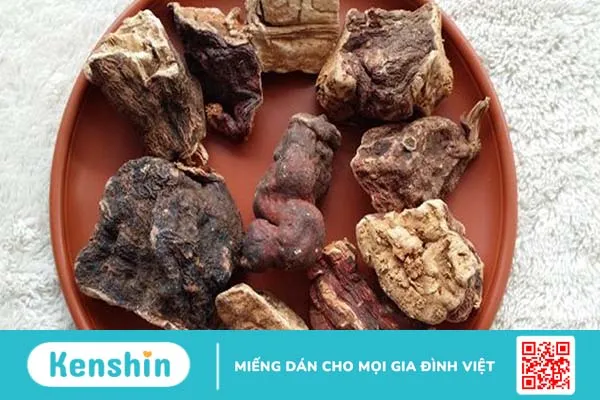 Hướng dẫn cách nấu nước hà thủ ô gội đầu mượt tóc, sạch gàu, giảm gãy rụng