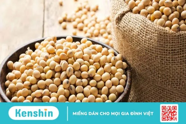 Lợi ích của protein đậu nành đối với sức khỏe và một số thông tin bạn cần biết