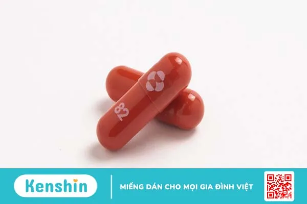 Molnupiravir là thuốc gì? Tác dụng của Molnupiravir đối với bệnh nhân Covid-19 như thế nào?