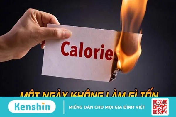 Một ngày không làm gì tốn bao nhiêu calo?