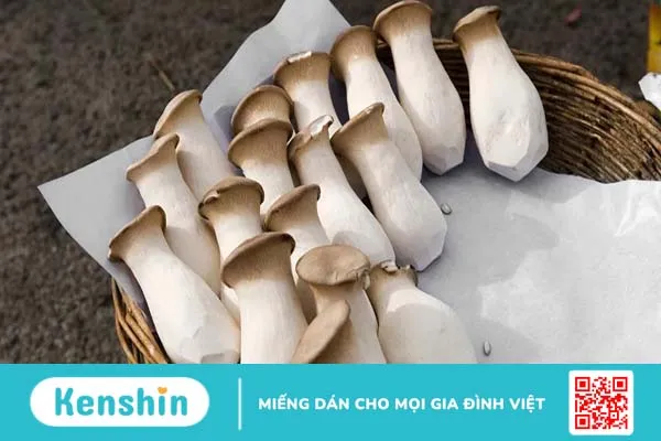 Nấm đùi gà và những lợi ích cho sức khỏe