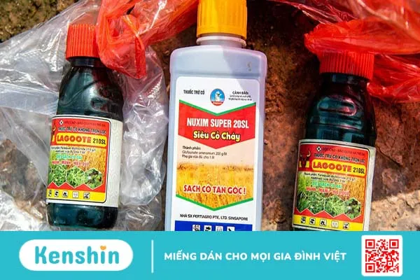 Ngộ độc glufosinate gây ra triệu chứng gì? Cách để phòng ngừa