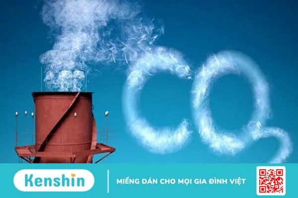 Ngộ độc khí CO2 là gì? Cách phòng tránh ngộ độc khí CO2