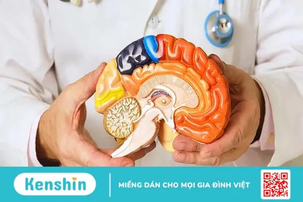 Ngoại thần kinh là gì? Những bệnh lý được chỉ định khám và điều trị tại khoa ngoại thần kinh