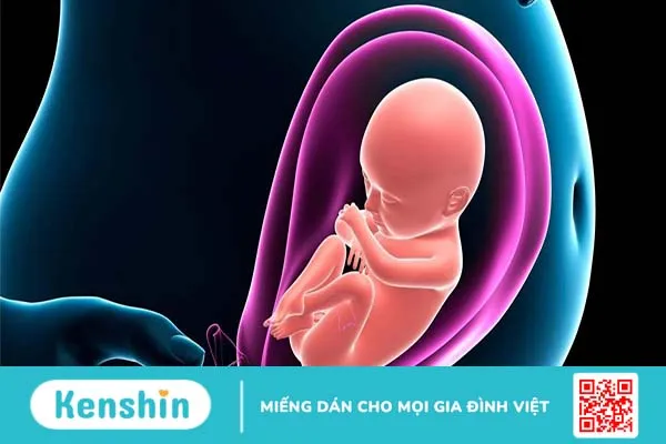 Nhiễm Parvovirus khi mang thai có ảnh hưởng đến thai nhi không?