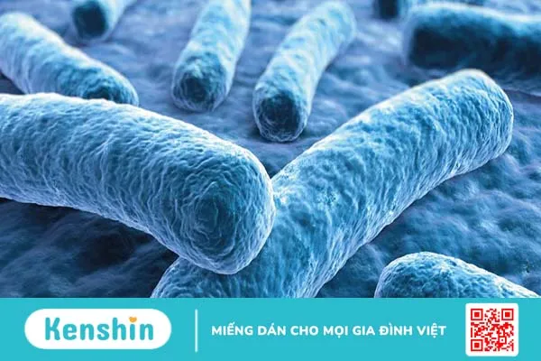 Nhiễm trùng Legionella và viêm phổi do Legionella có nguy hiểm không?