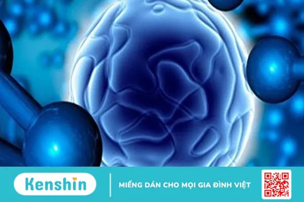 Những điều bạn cần biết về phản xạ không điều kiện và phản xạ có điều kiện