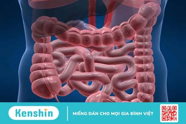 Những thông tin cần biết về hỗng tràng