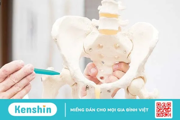 Nội soi khớp háng được chỉ định thực hiện khi nào?