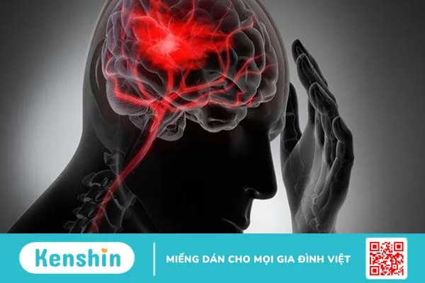 Phản xạ cushing những điều bạn nên biết