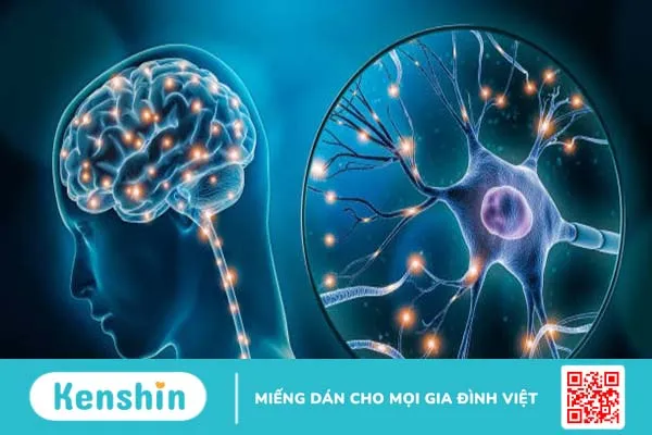 Phản xạ phế vị thần kinh là gì? Những vấn đề thường gặp đối với loại phản xạ này