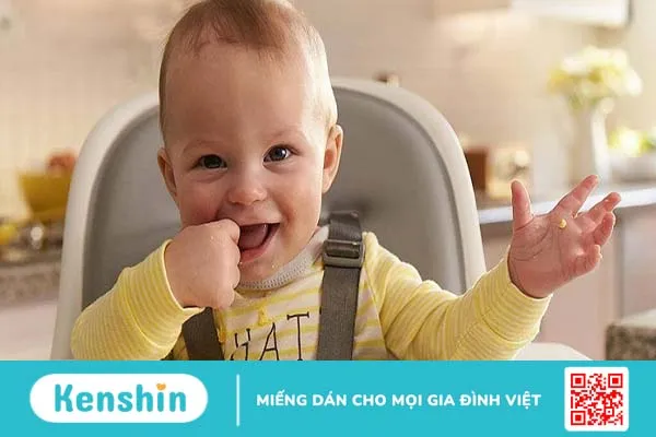 Phương pháp ăn dặm kiểu Nhật kết hợp BLW là gì?