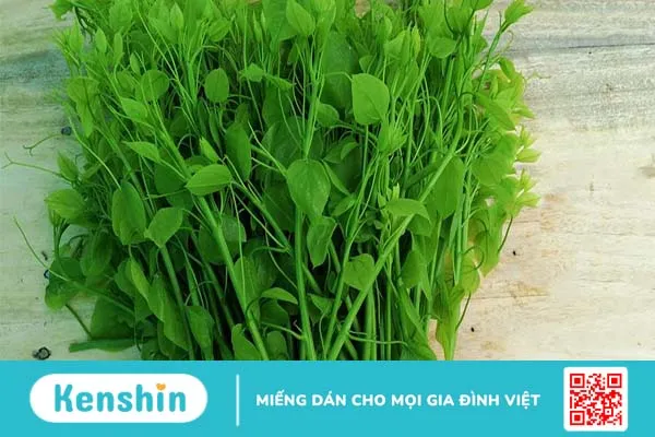 Rau bò khai có ăn được không? Có bị ngộ độc rau bò khai không?