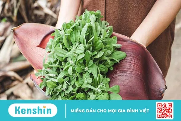 Rau khúc: Những lợi ích sức khỏe tuyệt vời có thể bạn chưa biết