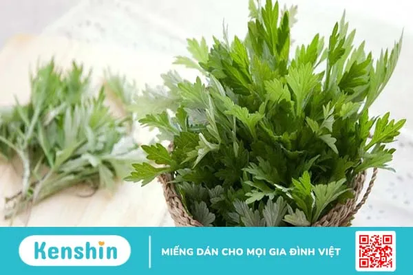 Rau ngải cứu và những công dụng tuyệt vời