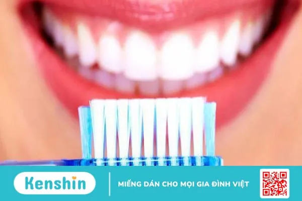 Review bàn chải đánh răng được ưa chuộng hiện nay