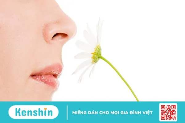 Rối loạn ngửi: Nguyên nhân và cách điều trị bệnh