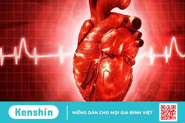 Rối loạn nhịp tim ở trẻ em: Nguyên nhân, triệu chứng, chẩn đoán và điều trị