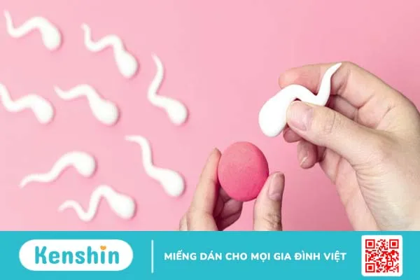 Rụng trứng bao lâu có kinh? Cách tính ngày rụng trứng chính xác