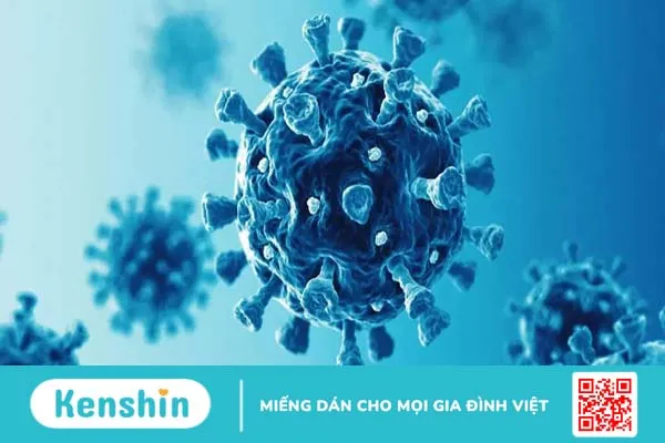 Sốt virus có lây không? Đối tượng nào có nguy cơ nhiễm bệnh?