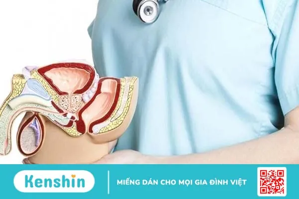 Thang điểm Gleason là gì? Những thông tin cần biết về ung thư tuyến tiền liệt