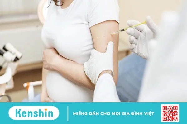 Tiêm phòng dại có ảnh hưởng đến thai nhi không?