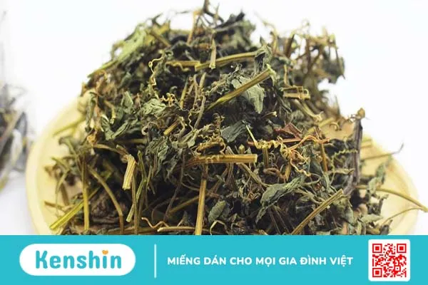 Tìm hiểu về tác dụng của trà giảo cổ lam