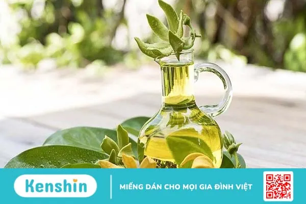 Tinh dầu ngọc lan tây có tác dụng gì? Những lưu ý khi sử dụng