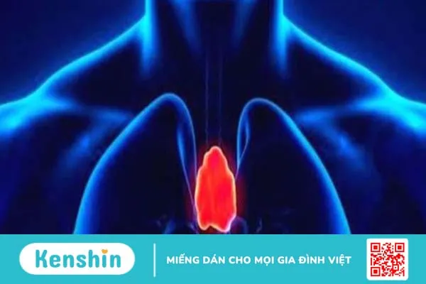 U xương ức: Dấu hiệu nhận biết, cách chẩn đoán và điều trị u xương ức phổ biến