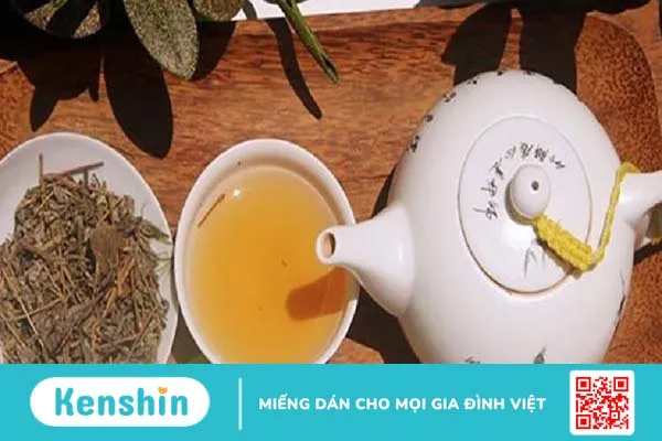 Uống trà dây hàng ngày có tốt không? Cách uống trà dây đúng và hiệu quả