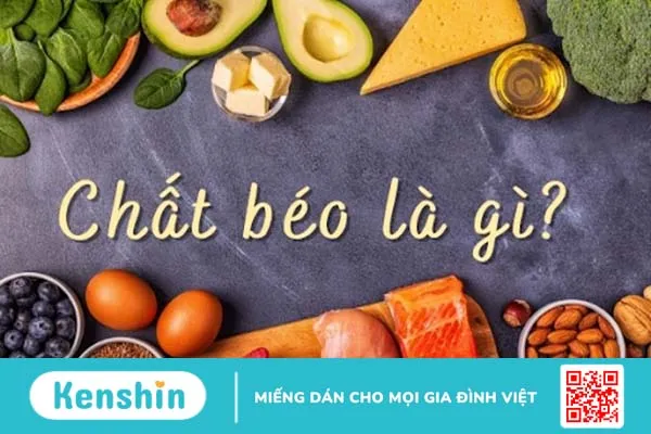 Vai trò của chất béo và cách kiểm soát chất béo trong cơ thể